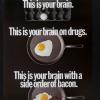 This is Your Brain