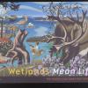 Wetlands Mean Life