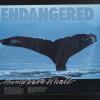 Endangered