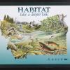 Habitat: Take A Deeper Look