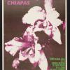 Chiapas