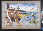 Open Country and Wetland Birds of Hawaii