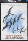 untitled (swallows with Cyrillic text)