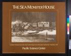 The Sea Monster House