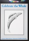 Celebrate the Whale