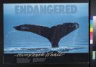 Endangered