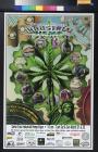 Santa Cruz Industrial Hemp Expo