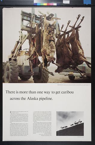 There Is More Than One Way To Get Caribou Across The Alaska Pipeline