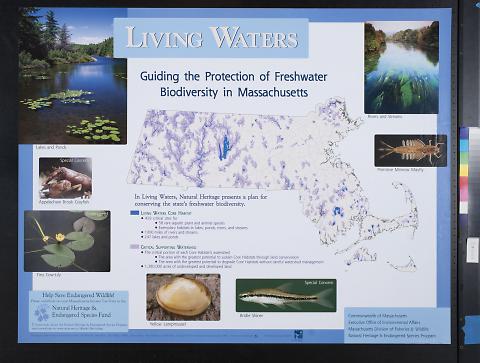 Living Waters