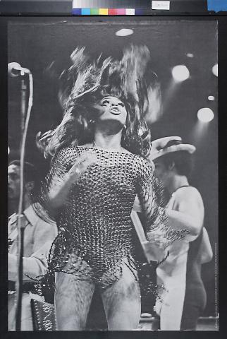 untitled (Tina Turner)