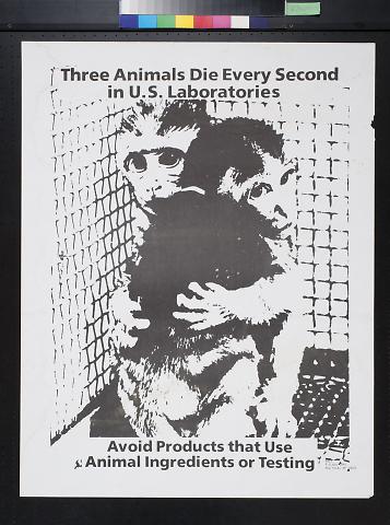 Three Animals Die Every Second In U.S. Laboratories
