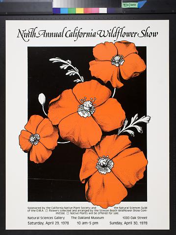 Ninth Annual California Wildflower Show