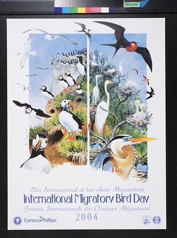 International Migratory Bird Day