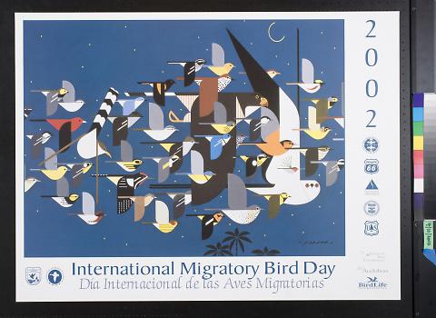 International Migratory Bird Day