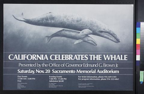 California Celebrates The Whale