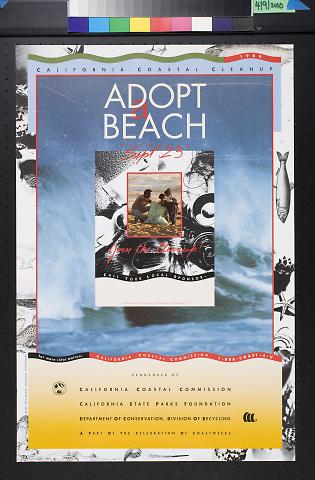 Adopt A Beach