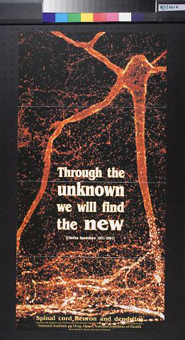 Through the unknown we will find the new