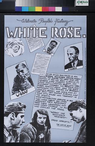 Celebrate People's History: White Rose.
