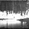 Snow and Timber Line, Uinta Mountains