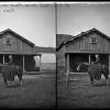 Miss Anna Reed on Horseback, Echo City