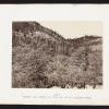 Among The Timber At Head Of Little Laramie River from The Great West Illustrated in a Series of Photographic Views Across the Continent