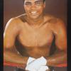 untitled (Muhammad Ali)