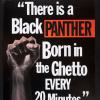 There is a Black Panther Born in the Ghetto Every 20 Minutes