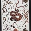 untitled (snakes)