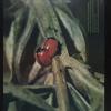 untitled (lady bugs)