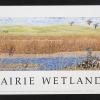 Prairie Wetlands