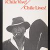 ?Chile Vive! / Chile Lives!