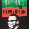 Malcolm X On Revolution