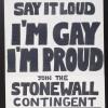 I'm Gay, I'm Proud