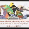 Internation Migratory Bird Day