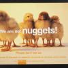 We are not nuggets