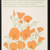 untitled (orange flowers)