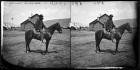 S.B. Reed on Horseback, Echo City