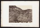 Among The Timber At Head Of Little Laramie River from The Great West Illustrated in a Series of Photographic Views Across the Continent