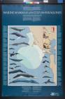 Marine Mammals Of The Gulf Of The Farallones