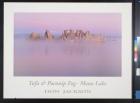 Tufa & Poconip Fog - Mono Lake