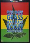 God Made Grass