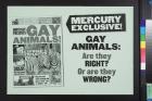 Mercury Exclusive: Gay Animals