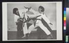 Untitled (Two people in a martial arts fight)