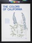 The Colors Of California