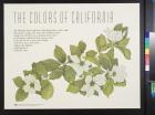 The Colors Of California