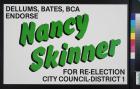 Nancy Skinner for Re-Election
