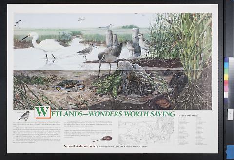 Wetlands - Wonders Worth Saving