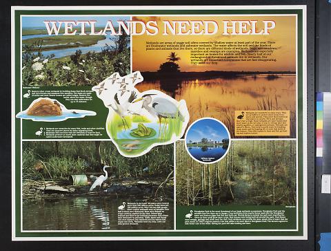 Wetlands Need Help
