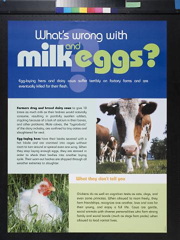 What's Wrong with Milk and Eggs?