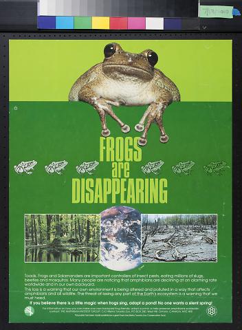 Frogs are Disappearing
